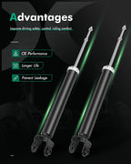 Set of 2 Rear Shocks Struts for Nissan Altima (2002–2006)