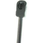 Lift Support for Lincoln MKS (2009–2012) Driver & Passenger Side