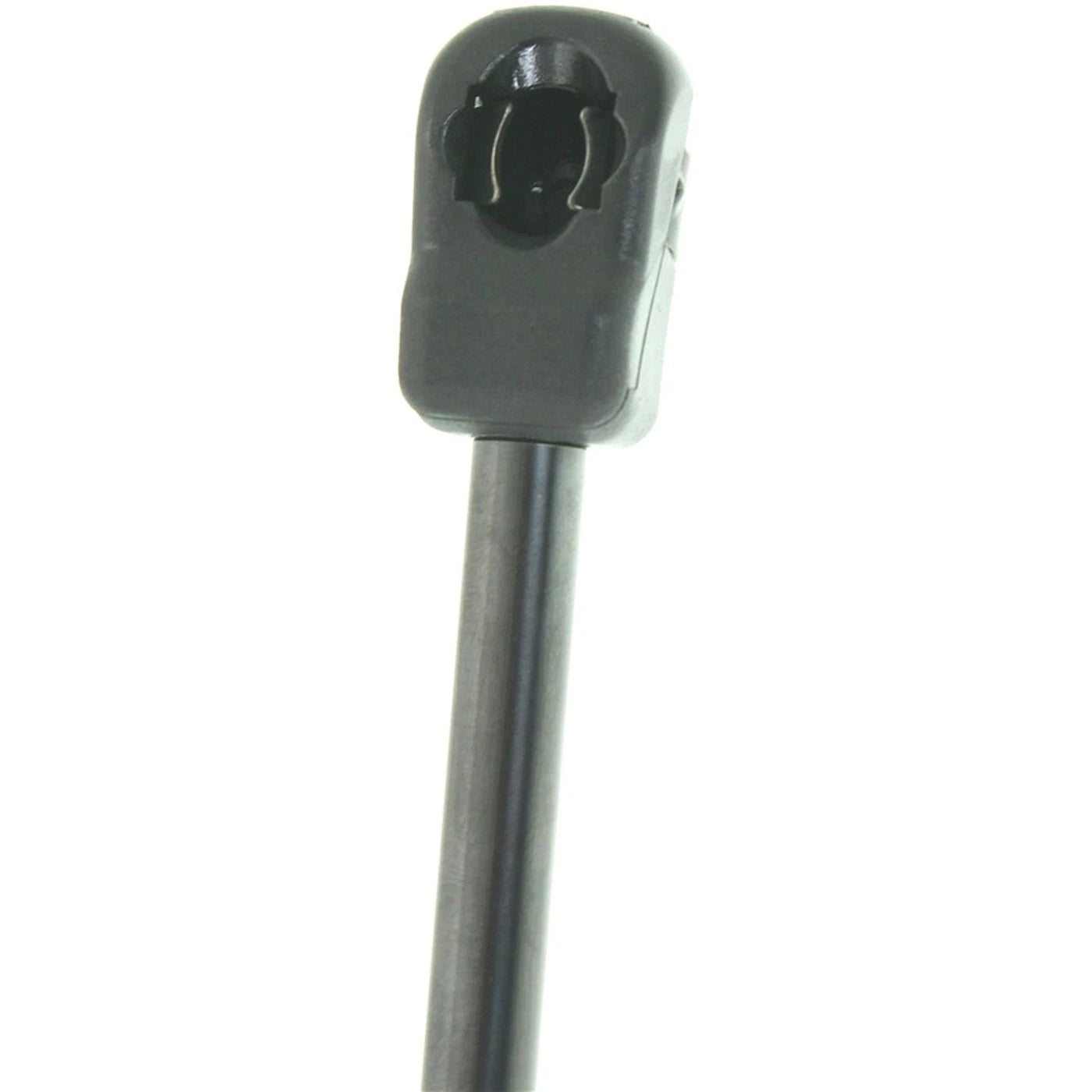 Lift Support for Lincoln MKS (2009–2012) Driver & Passenger Side