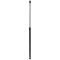 Hood Lift Supports for Coupe Sedan (Driver & Passenger Side)