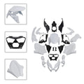 Bodywork Fairing Injection for Kawasaki Z900 (2025–2026)