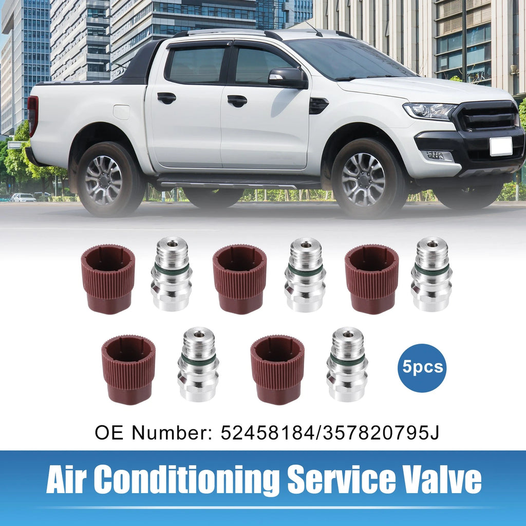 5pcs Air Conditioning Service Valve for Ford (No. 52458184/357820795J)
