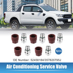 5pcs Air Conditioning Service Valve for Ford (No. 52458184/357820795J)