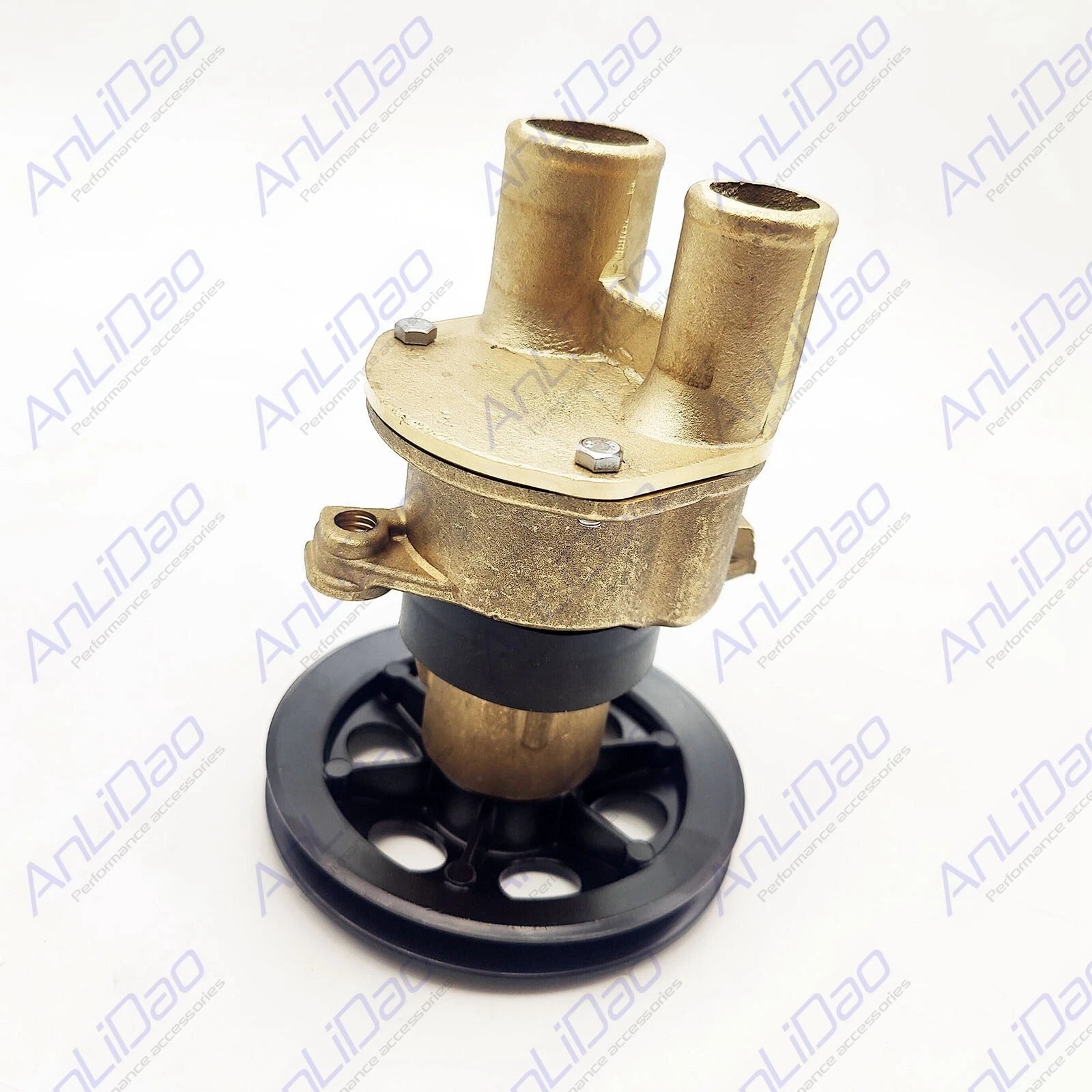 Sea Water Pump for Volvo Penta (3855079, 3852399, 3851982, 3857794)