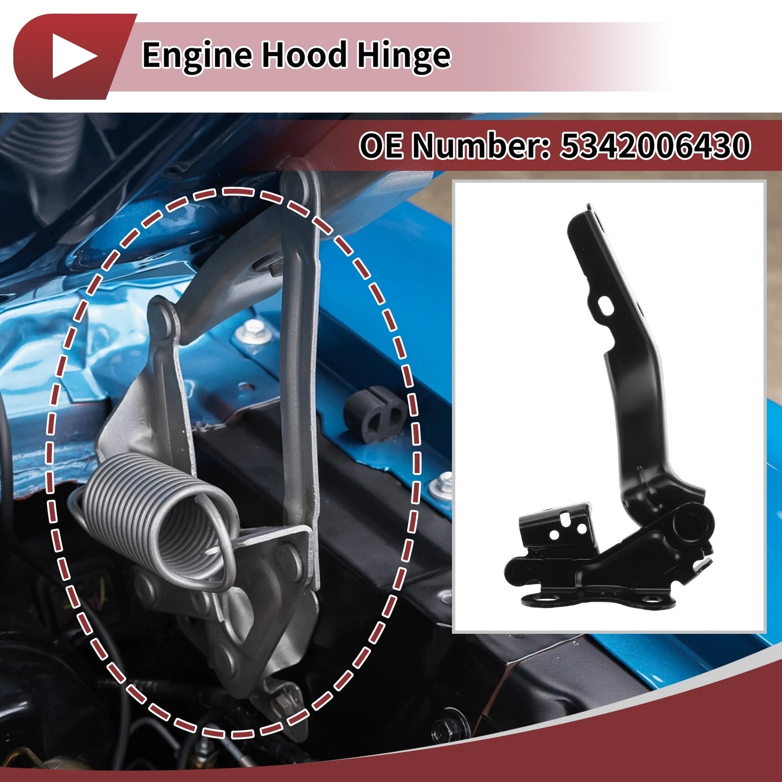 Hood Hinge for Toyota Camry (2018) Left Side 1 pcs