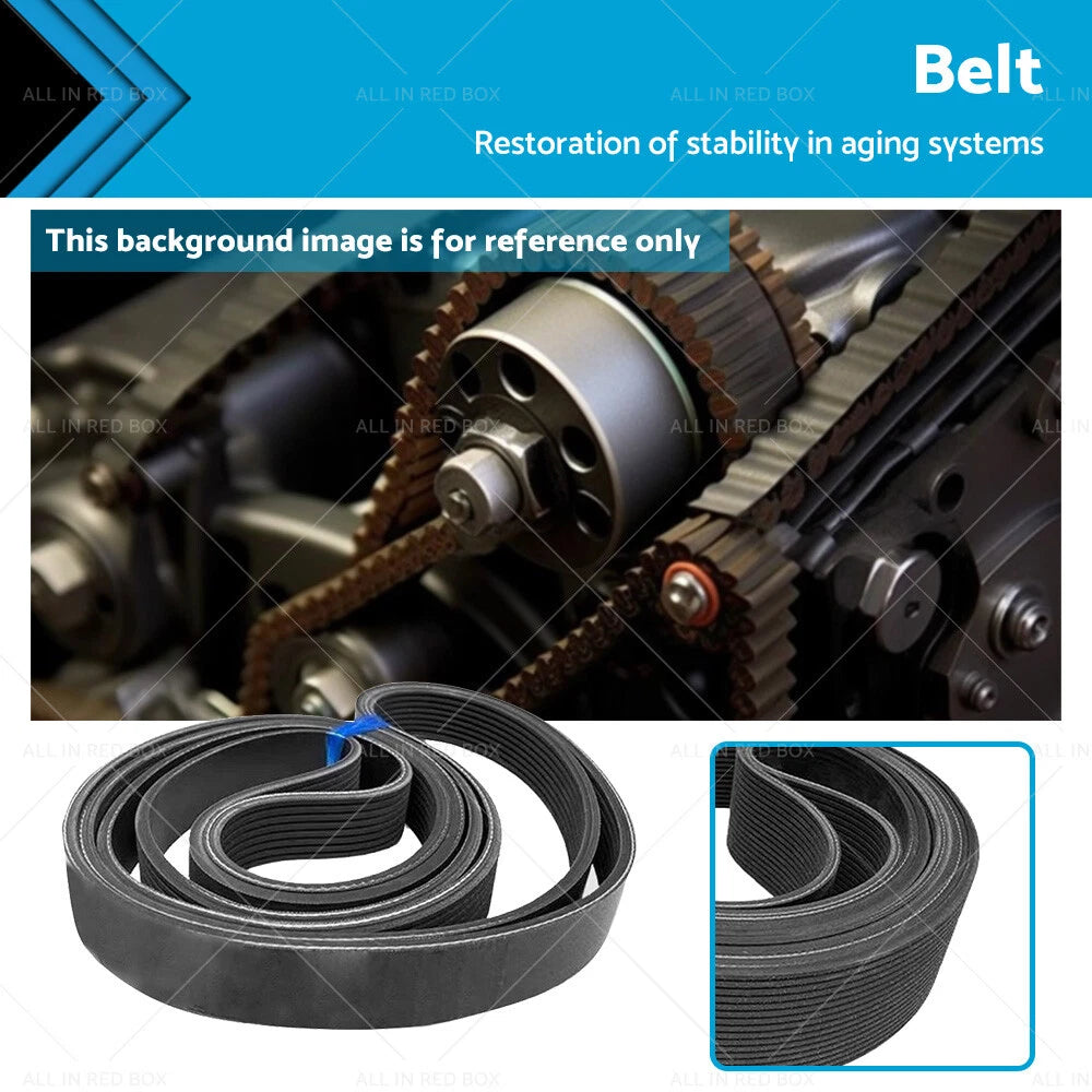 Ribbed Belt 7PK1750 for Honda Accord Euro 2.4 (CL9, CU)