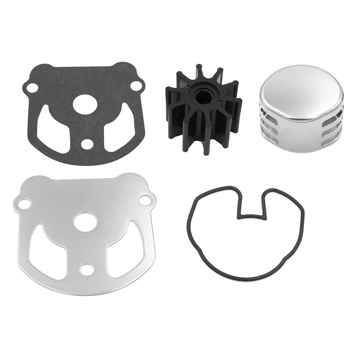Water Pump Kit for OMC Cobra (984461)