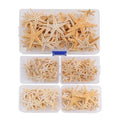 Set of 100 Natural Starfish for Resin Crafts and Home Decorating