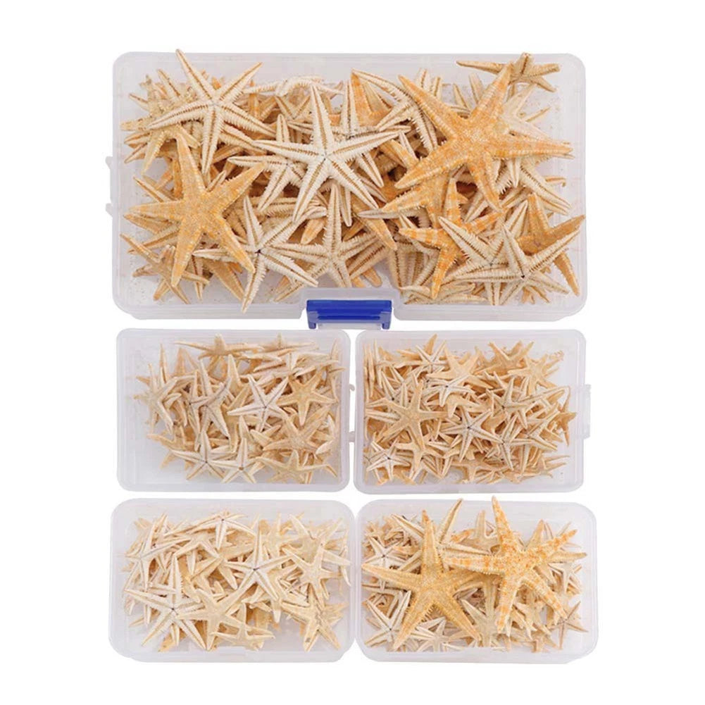 Set of 100 Natural Starfish for Resin Crafts and Home Decorating