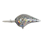 Reflective Holographic Lure for Fishing