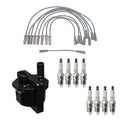 Set of 8 Denso Ignition Coil Wires & NGK Platinum Spark Plugs for P30 P3500 (V8 Vin J)
