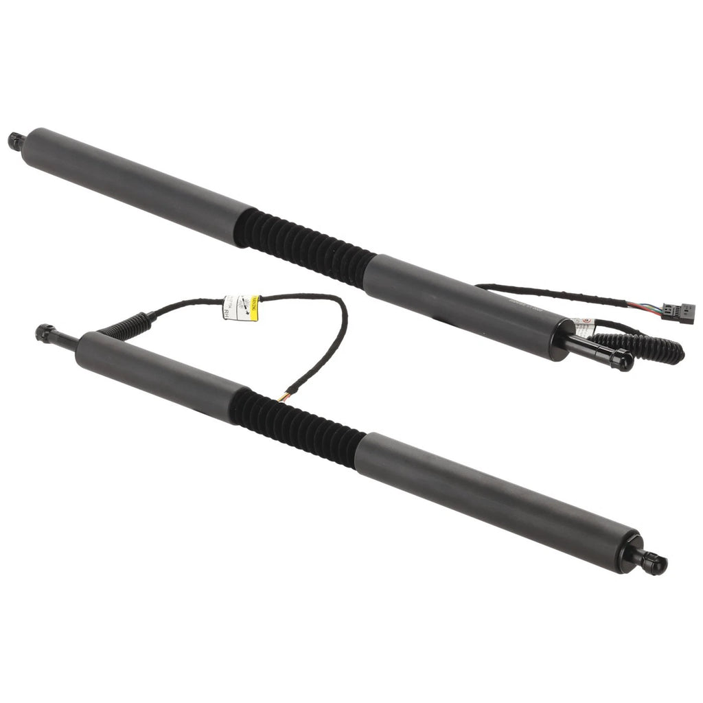 Set of 2 Liftgate Lift Supports for BMW