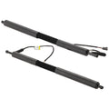 Set of 2 Liftgate Lift Supports for BMW