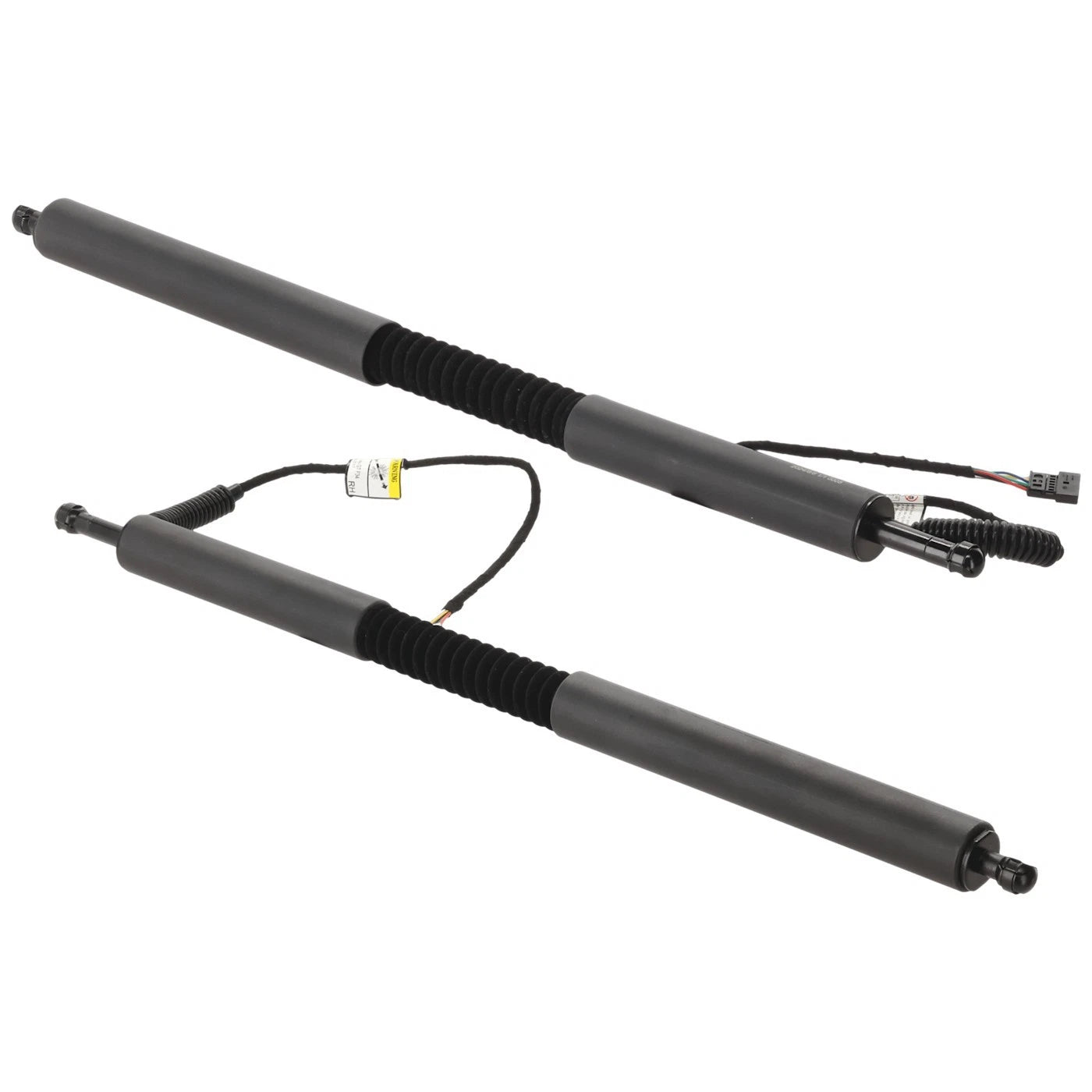 Set of 2 Liftgate Lift Supports for BMW