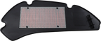 HIFLOFILTRO Air Filter for Honda Scooter (HFA1112)
