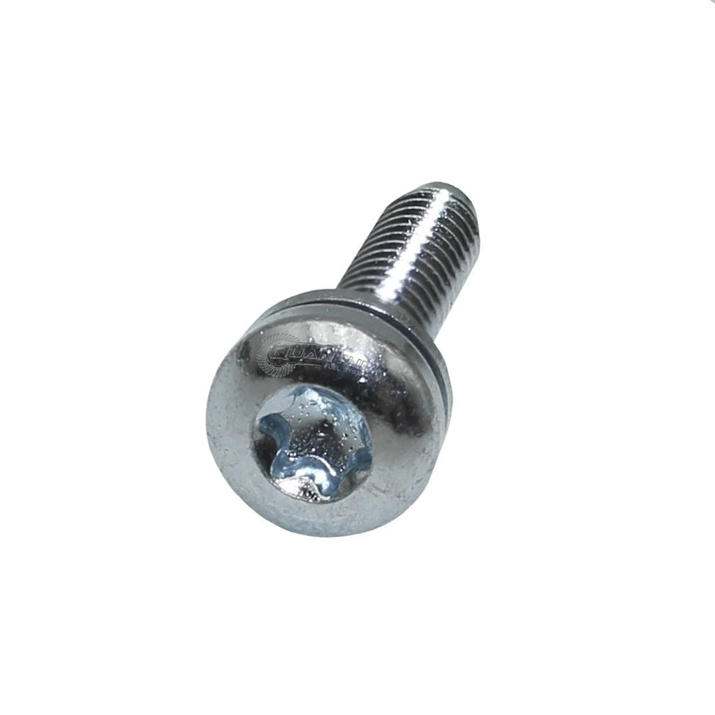 Set of 10 EFI Mount Top Plate Screws for Harley-Davidson (1995–2017)