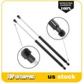 2X Rear Tailgate Lift Support Struts for Toyota Matrix (2009–2013)