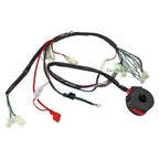 Wiring Harness Loom for 50/70/90/110/125cc Quad Bike Buggy GoKart (N/A)