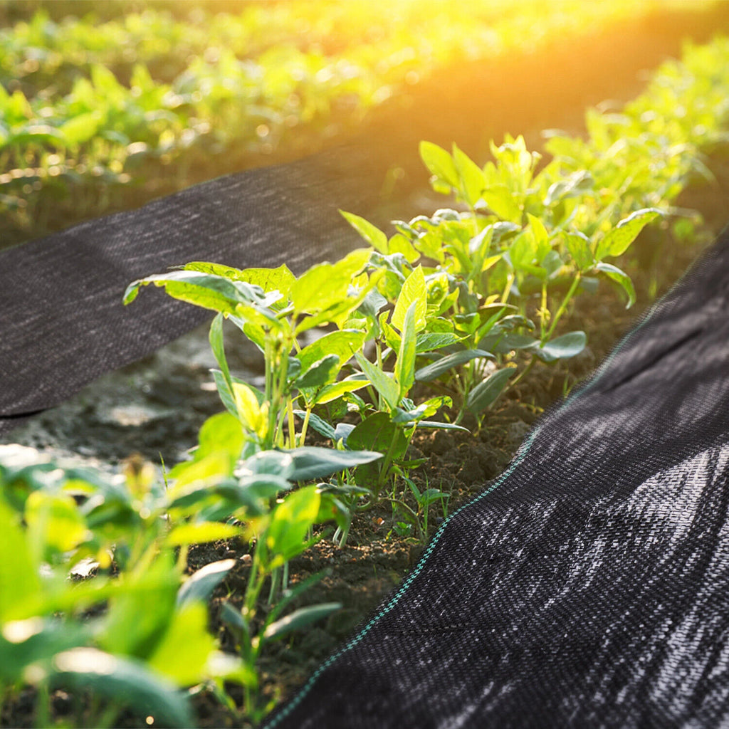 Weed Barrier Fabric for Landscape (3FT x 100FT)