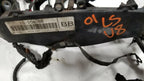 Engine Fuel Wire Harness for Lincoln LS V8 3.9 (2000–2002) 1G-204-BB