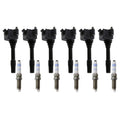 Set of 6 Ignition Coils & Bosch Spark Plugs for BMW F30 E83 (2012–2019)