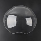 Front Headlight Lens Cover for Ducati Monster 821 1200 (2014-2018)