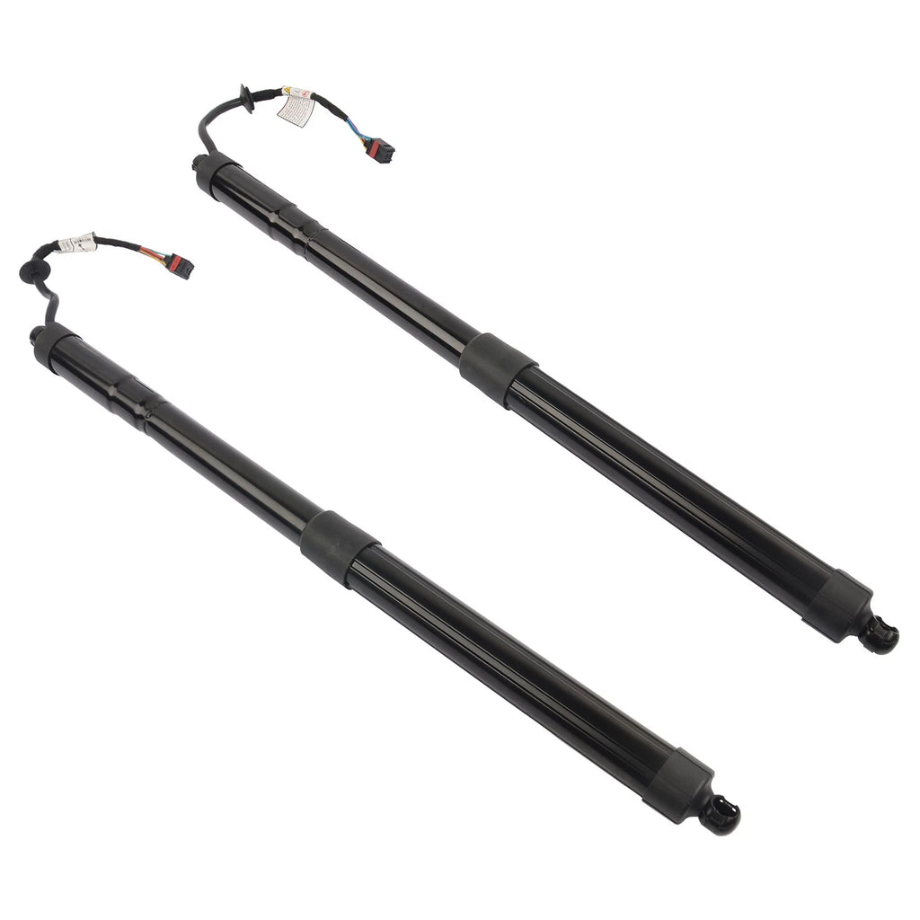 2Pcs Tailgate Lift Support for Hyundai Santa Fe (2013-2019)