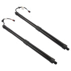 2Pcs Tailgate Lift Support for Hyundai Santa Fe (2013-2019)