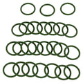 A/C Line O-Rings YF-37496 for Ford F-650 F-750 (2013)