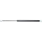 Trunk Lid Lift Supports for Toyota 4Runner (Right/Left)
