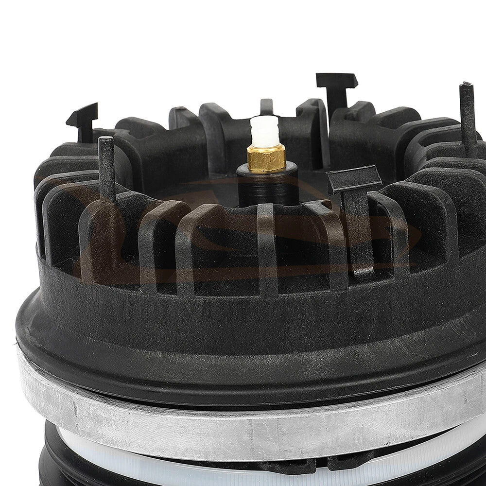 Rear Pair Air Suspension Springs for Dodge Ram 1500 (2013-2019)