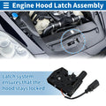 Hood Latch Assembly for Audi A3 (2015–2020) No. 8V0823509