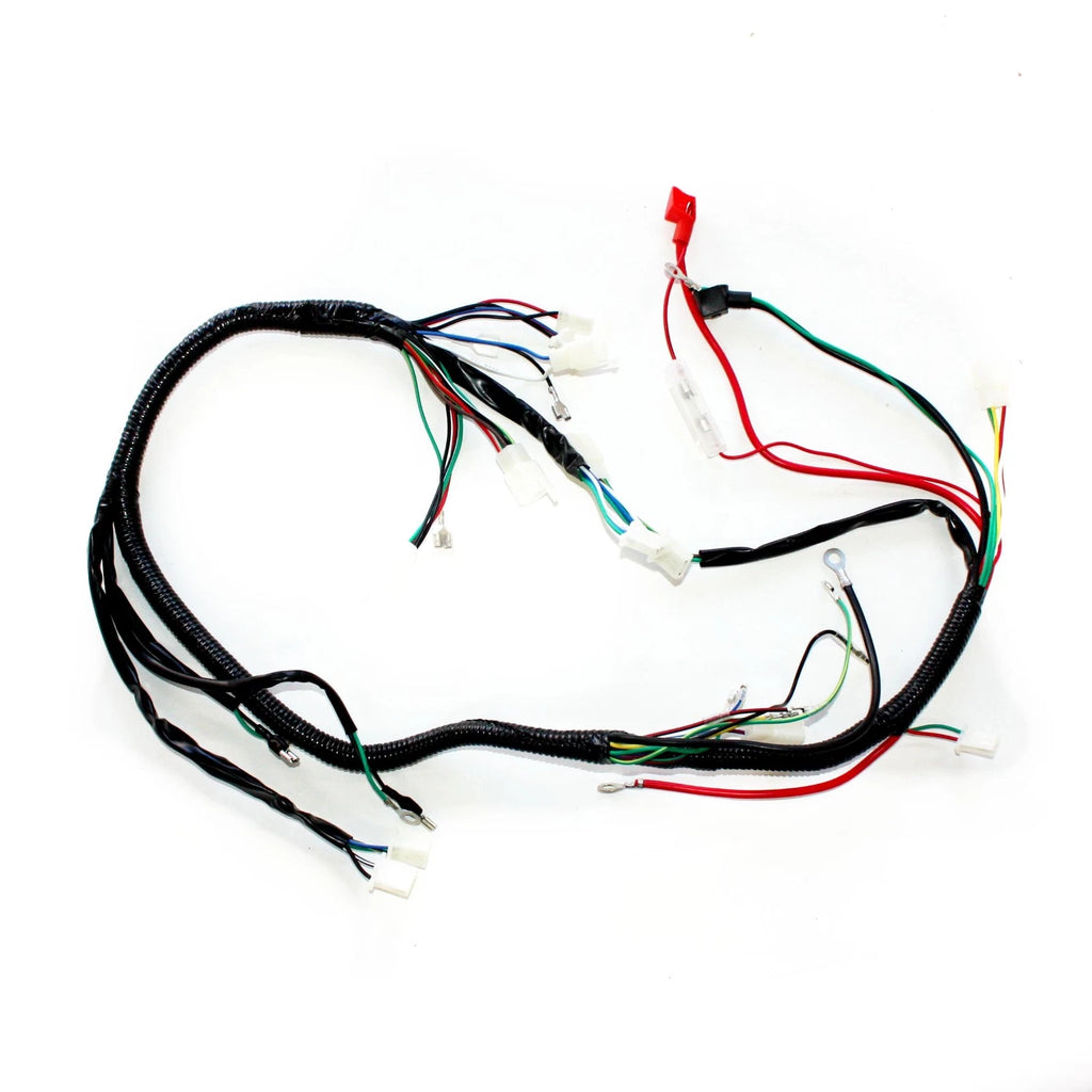 Engine AC Wiring Harness for 150cc 250cc Pit Quad Dirt Bike ATV Buggy (No Year)