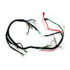 Engine AC Wiring Harness for 150cc 250cc Pit Quad Dirt Bike ATV Buggy (No Year)