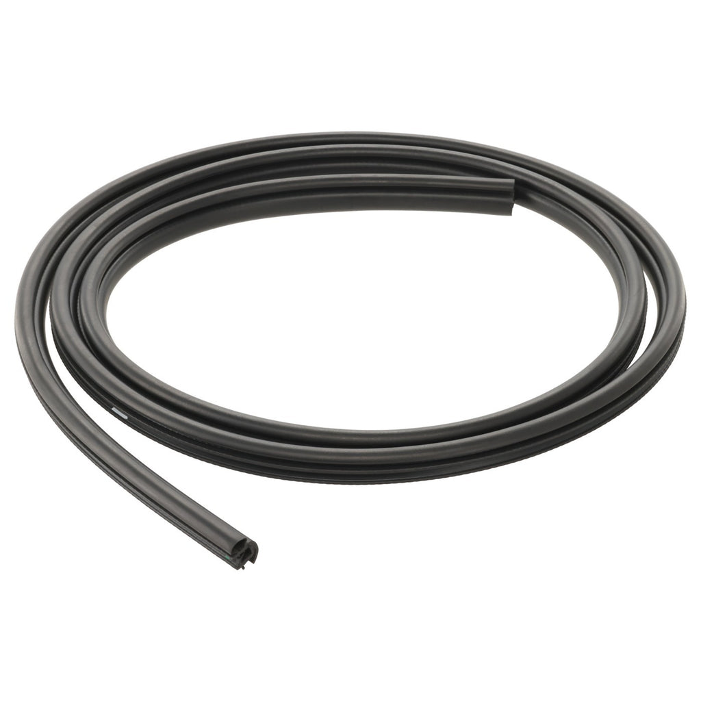 Glass Seal for Ram 1500 (2011–2022) Front Driver and Passenger Side