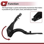 Hood Hinges for Hyundai Sonata (2015–2019) 1 Pair No. 79120C1000