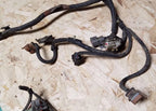 Engine Bay Harness with Fuse Box for Ford Thunderbird Cougar (1996–1997)
