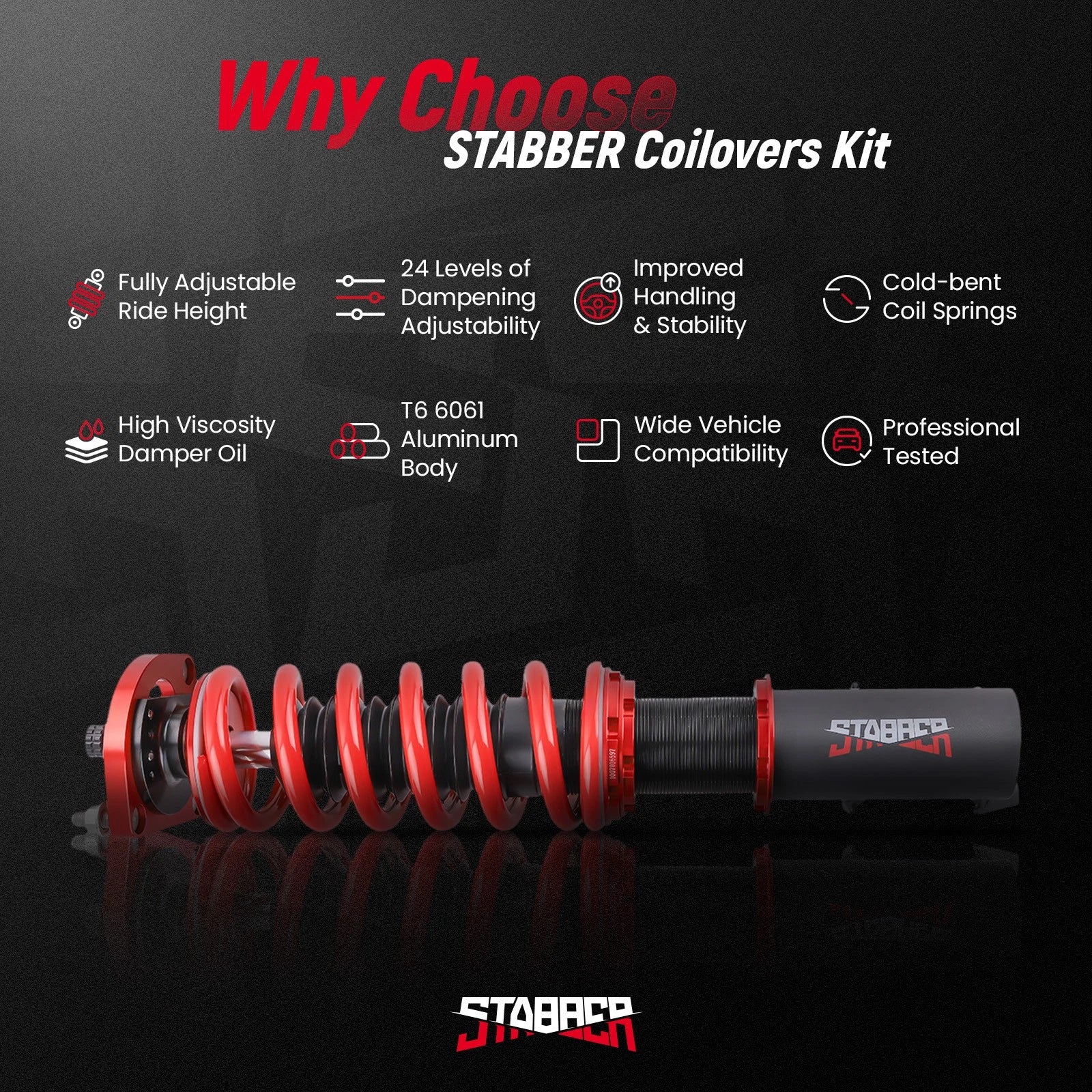 Coilovers 24 Way Adjustable Suspension Kit for Ford Mustang (1994-2004)