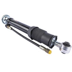 Rear Suspension Shock Strut for Mercedes S-Class (1992-1999)