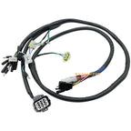 Wiring Harness for Honda FourTrax 300 TRX300 TRX300FW (1997–2000)