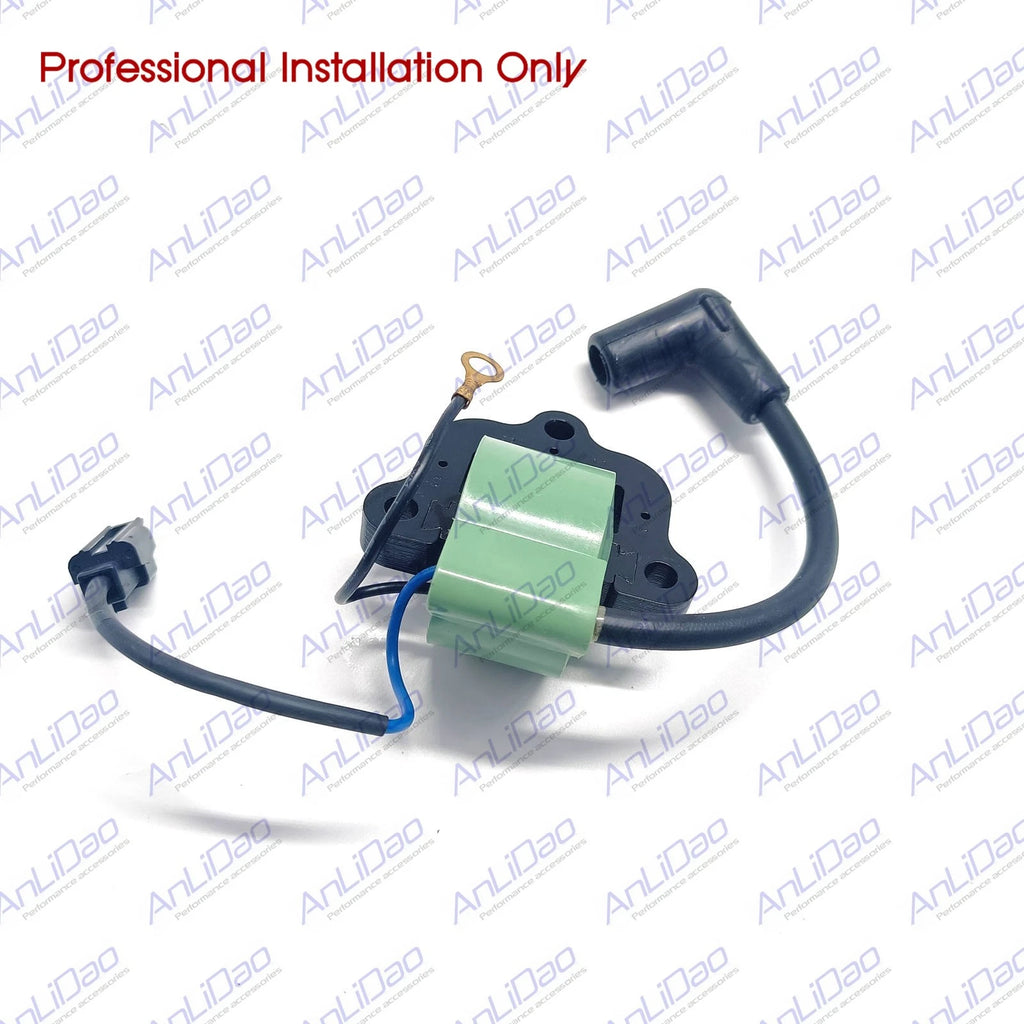 Ignition Coil for Johnson Evinrude 18 20 25 35HP (18-5172 581786 581370 502881)