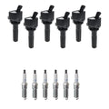 Set of 6 Ignition Coils & NGK Iridium Spark Plugs for Trailblazer L6 (2002–2009)