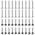 Set of 20 Intake & Exhaust Valves for Audi S6 S8 5.2 V10 (2007–2010)