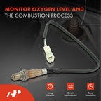 O2 Oxygen Sensor for Chevy Metro Tracker Geo Esteem Sidekick (1990-2004)