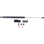 Set of 2 Liftgate Lift Supports for Driver & Passenger Side