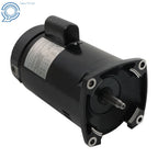 1.5 HP Pool Pump Motor for Swimming Pool (Square Flange)