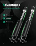 Front Pair Shocks Struts for Chevrolet Astro Biscayne Caprice Impala GMC Safari (1990–2005)