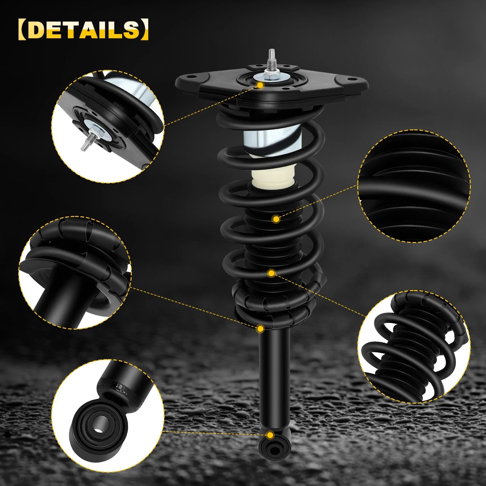 Set of 2 Rear Complete Struts Springs for Nissan Sentra (2000–2006)