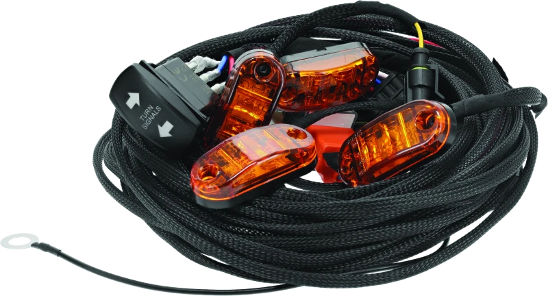 Whip Harness for 4 Seat UTV (DragonFire Racing)