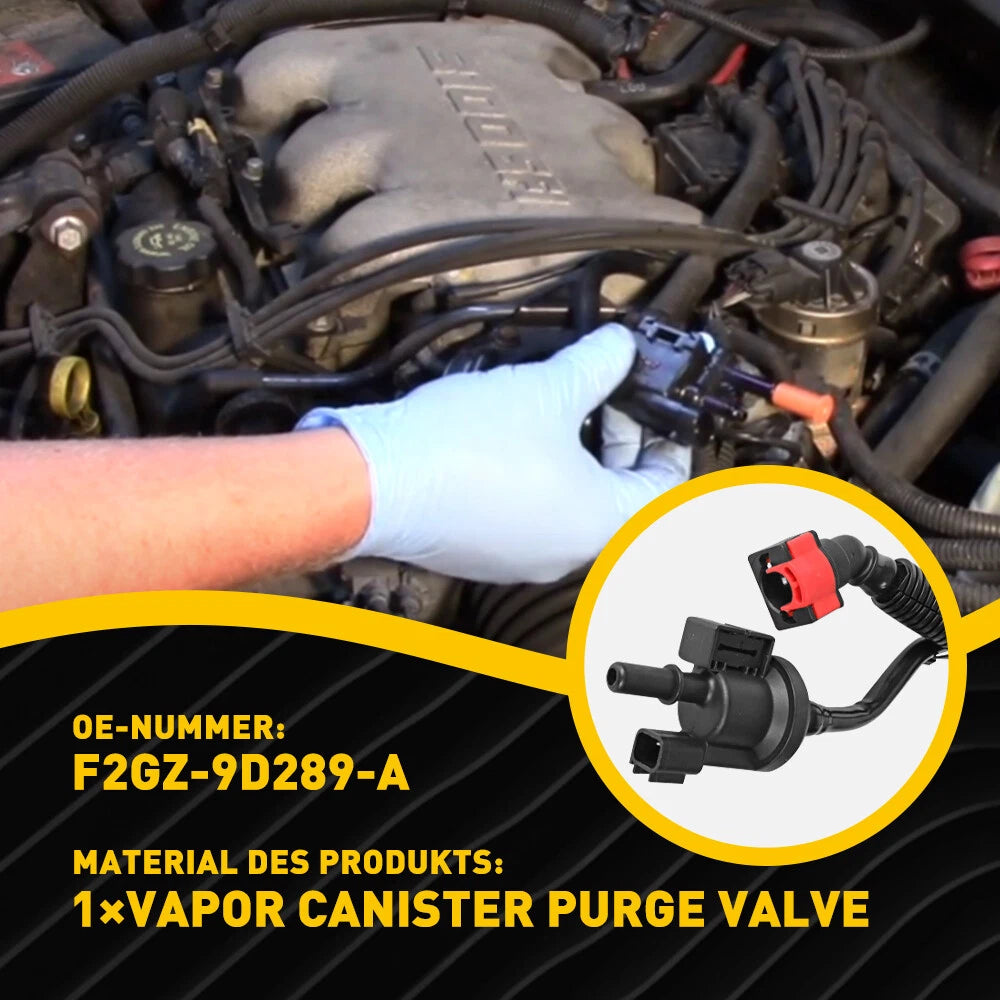 Purge Valve Hose for Lincoln MKX MKZ (2016–2020)
